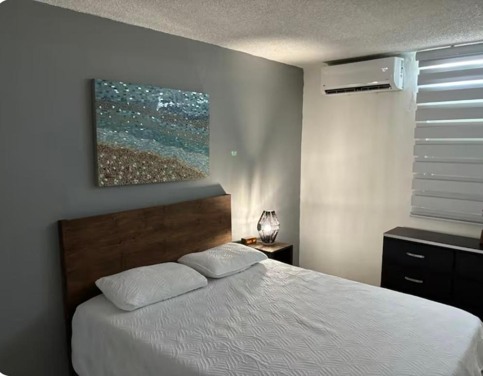 Private Apartment Near Sju Solar Battery Carolina Buitenkant foto